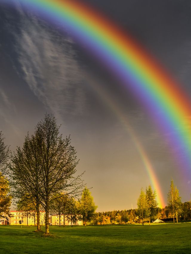 Rainbow